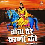 Baba Tere Charnon Ki