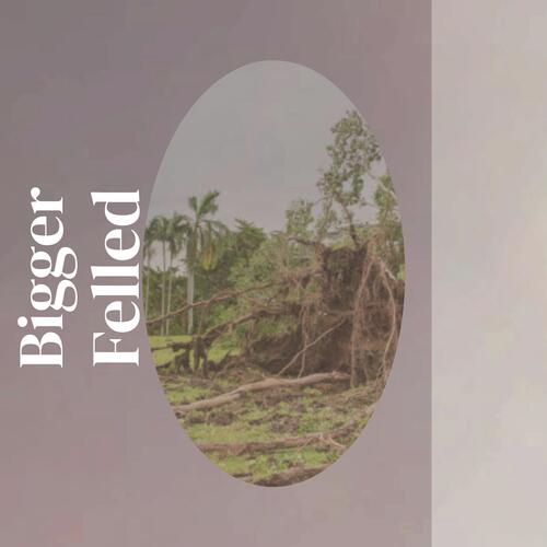 Magique Persevere cover art