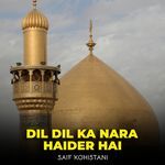 Dil Dil Ka Nara Haider Hai