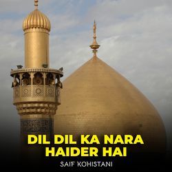 Dil Dil Ka Nara Haider Hai