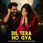 Dil Tera Ho  Gya