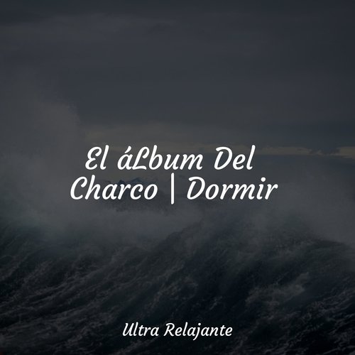 El áLbum Del Charco | Dormir_poster_image