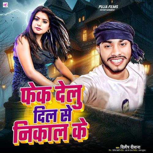Fake Delu Dil Se Nikal Ke