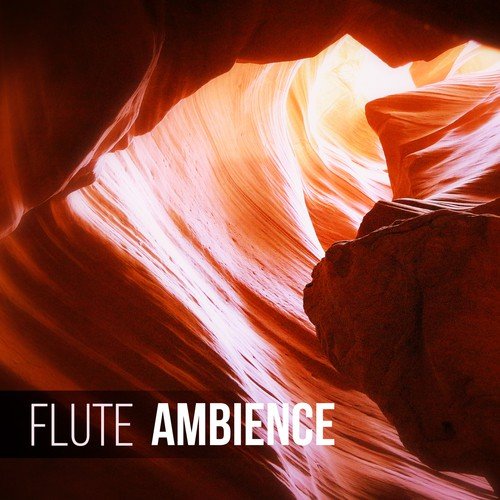 Flute Music Group
