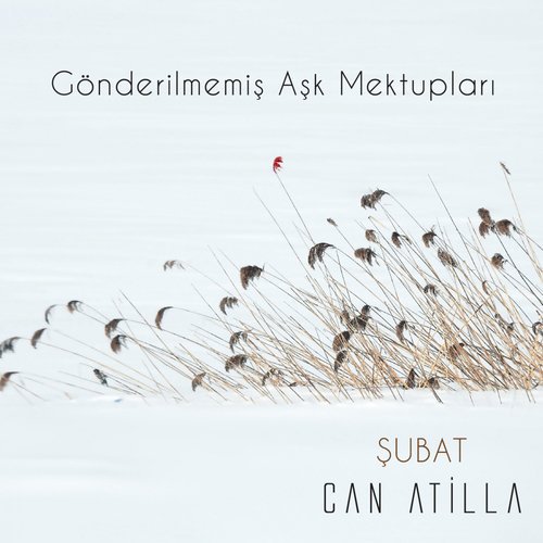 Gönderilmemiş Aşk Mektupları / Şubat (Akustik Versiyon)