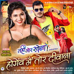 Hogev Mai Tor Deewana