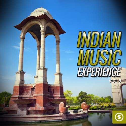 Indian Music Experience, Vol. 8