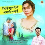 Jinhe Bhoolne Mein Zamane Lage Hai