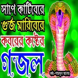 Kotin Ajab Hoibe Shuno Beno Majir Kobore