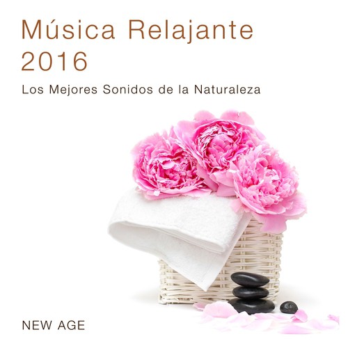 Música para Sanar el Alma cover art