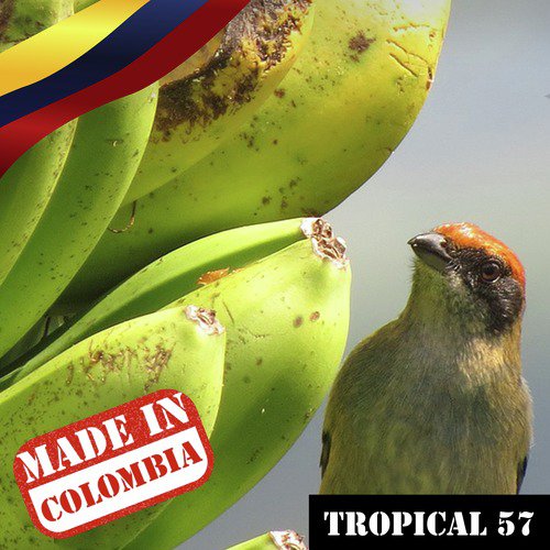 Made In Colombia / Tropical / 57