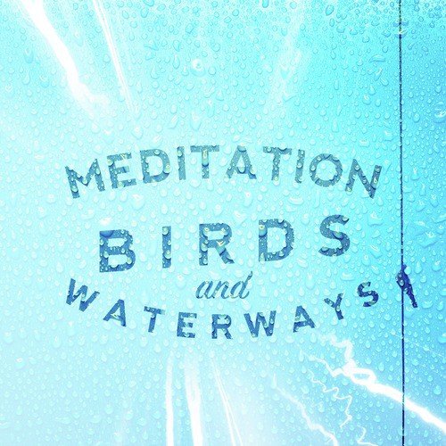 Meditation: Birds and Waterways