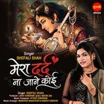 Mera Dard Na Jane Koi