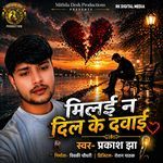 Milai Ne Dil Ki Dava