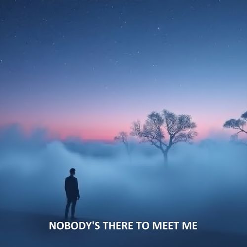 Nobody´s There To Meet Me cover art