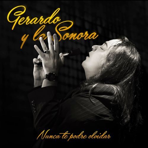 Nunca Te Podré Olvidar