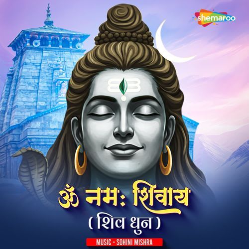 Om Namah Shivay (Shiv Dhun)