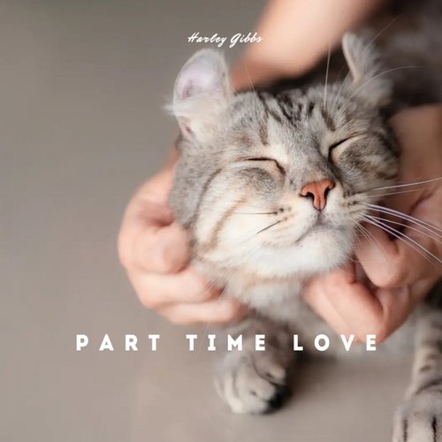 Part Time Love