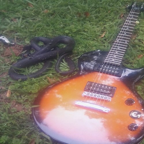 PiedmontThrash: SwinginHard