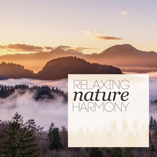 Relaxing Nature Harmony_poster_image