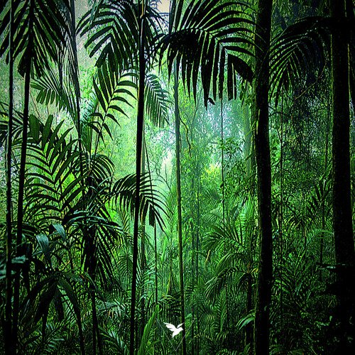 Grvvity Wvves cover art