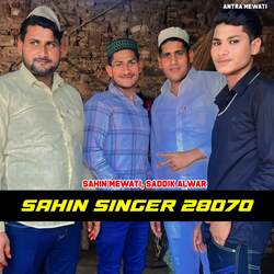 Sahin Singer 28070-PAAYAwEAen8