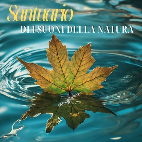 Il santuario dei suoni della natura cover art