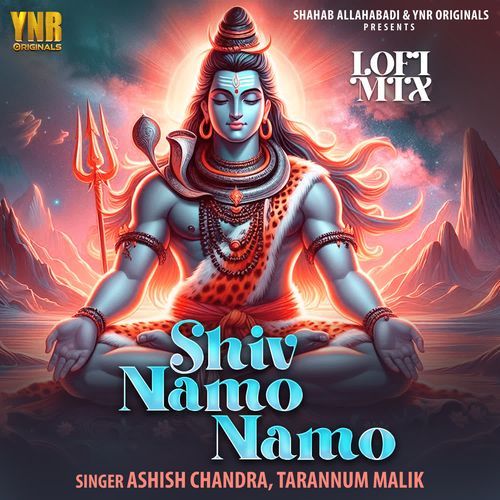 Shiv Namo Namo Lofi Mix