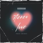 Stereo Love artwork