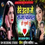 Tere Ishq Me Raja Pagal Ho Chuki Hu