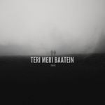 Teri Meri Baatein