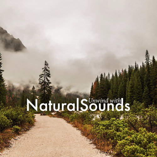 Unwind with Natural Sounds
