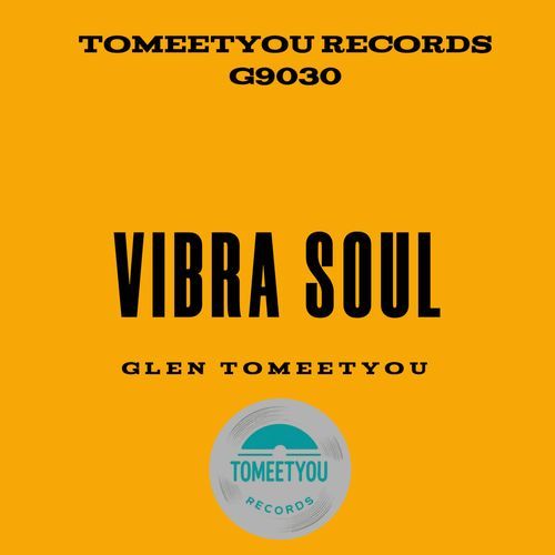 Vibra soul cover art