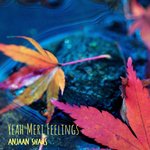 Yeah Meri Feelings (Explicit)