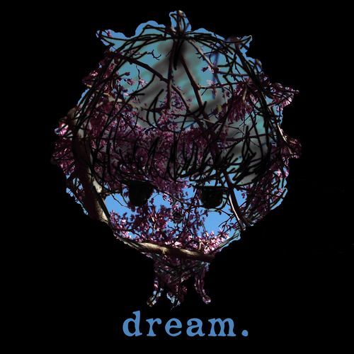 dream