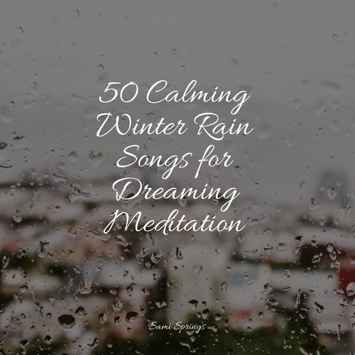 50 Calming Winter Rain Songs for Dreaming Meditation_poster_image