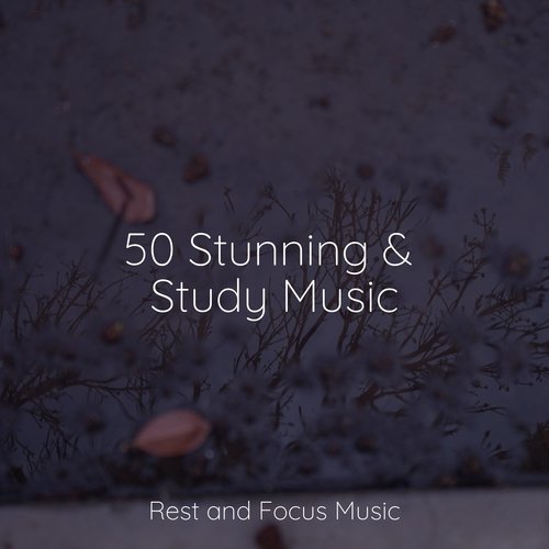 50 Stunning & Study Music