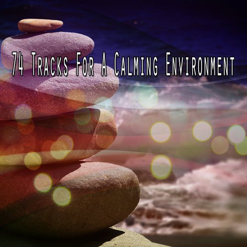 74 Tracks For A Calming Environment
