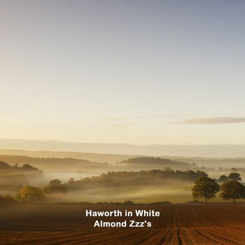 Almond Zzz's cover art