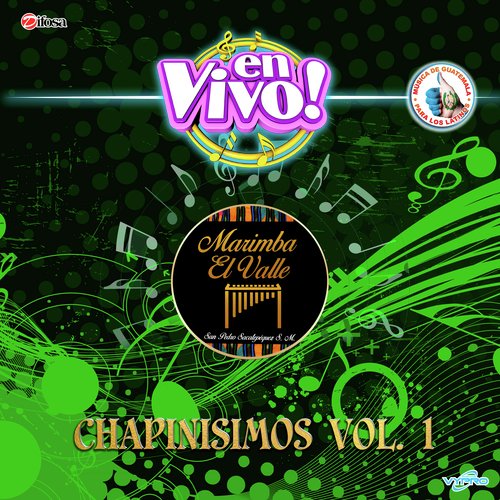 Mosaico Nacional 2: Rio Polochic / Migdalia Azucena / Coban / Los Trece / Tennis Club (En Vivo) cover art