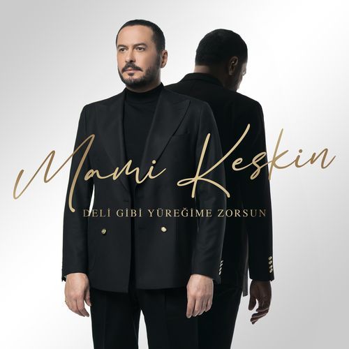 Deli Gibi Yüreğime Zorsun cover art