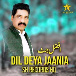 Dil Deya Jaania-BSM0AjtXYQY