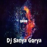 DJ Sanya Gorya