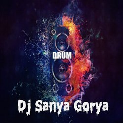 DJ Sanya Gorya