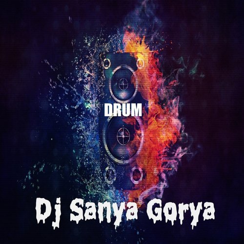 DJ Sanya Gorya