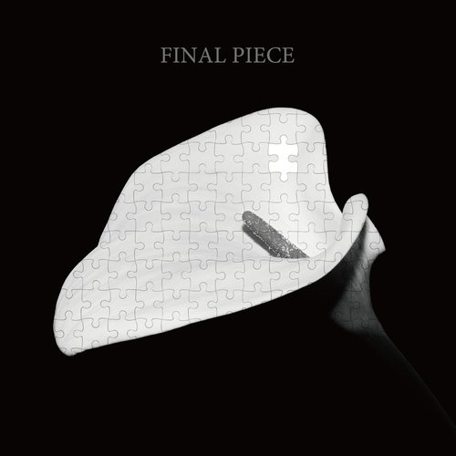 FINAL PIECE_poster_image