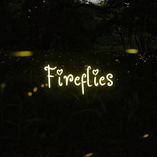 Fireflies