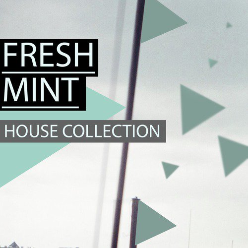 Fresh Mint cover art