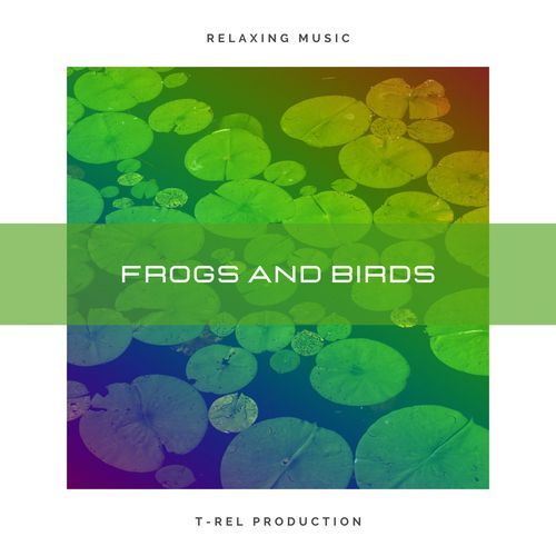 Frogs And Birds