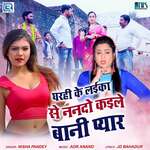 Gharhi Ke Laika Se Nando Kaile Baani Pyar artwork